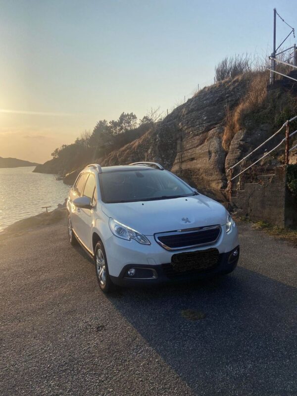 1 Peugeot 2008
