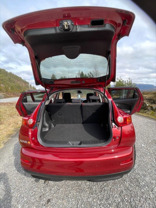 Nissan juke