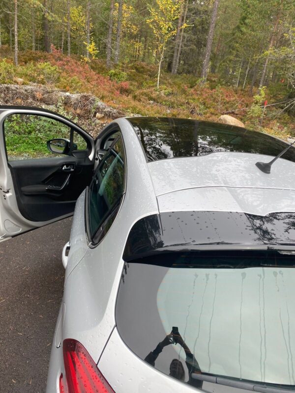11 Peugeot 208