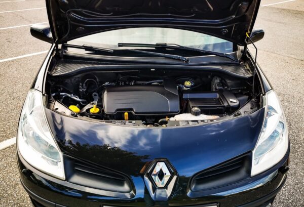 12 Renault Clio