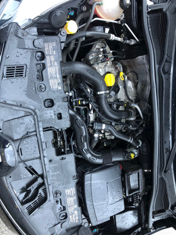 12 Renault Clio