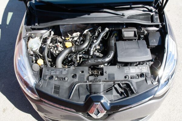 13 Renault Clio