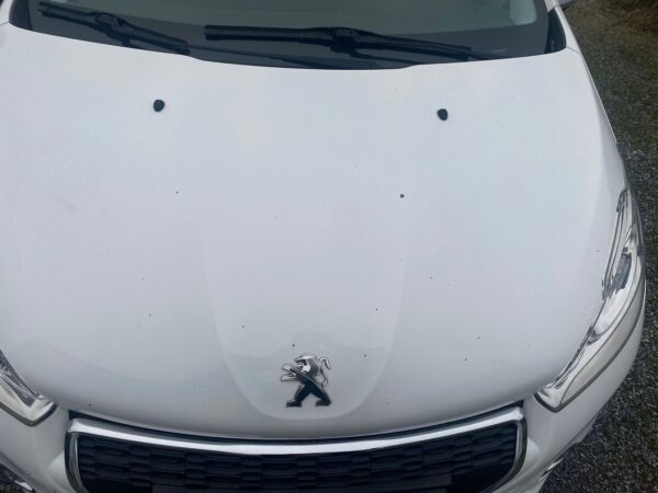 14 Peugeot 208