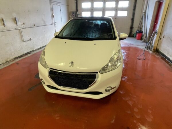 19 Peugeot 208