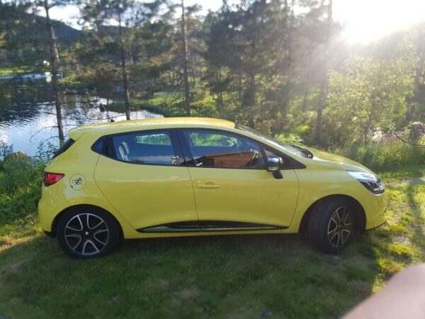 2 Renault Clio