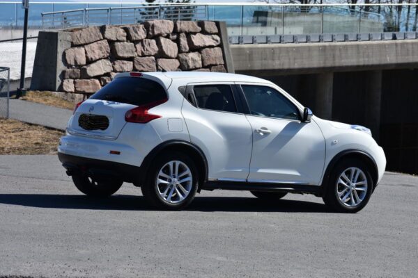 3 Nissan juke