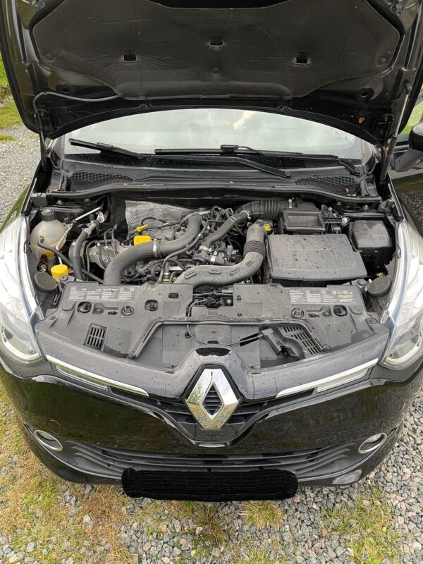 5 Renault Clio
