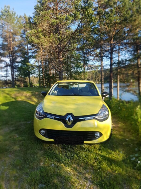 5 Renault Clio