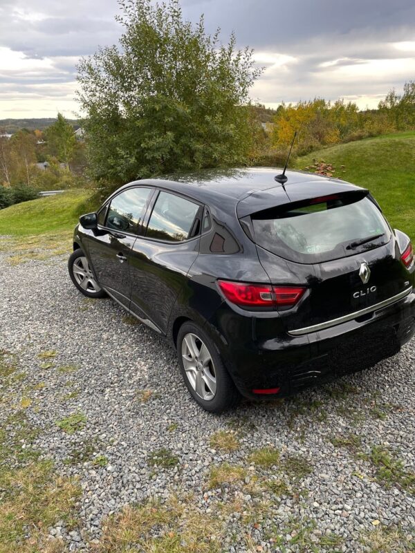 7 Renault Clio