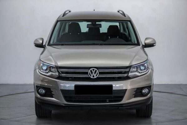 IMG_9257 Volkswagen Tiguan