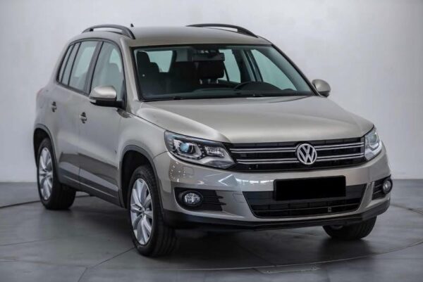 IMG_9260 Volkswagen Tiguan