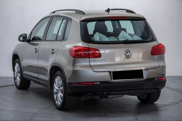 IMG_9263 Volkswagen Tiguan
