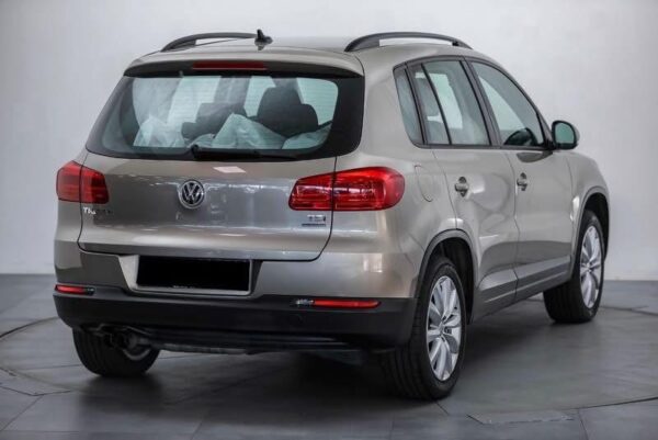 IMG_9265 Volkswagen Tiguan